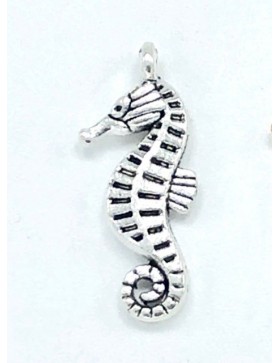 HIPPOCAMPE Charms