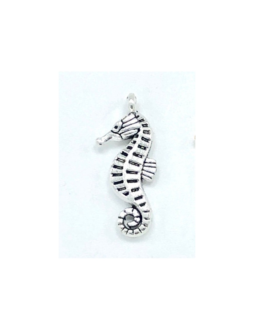 HIPPOCAMPE Charms