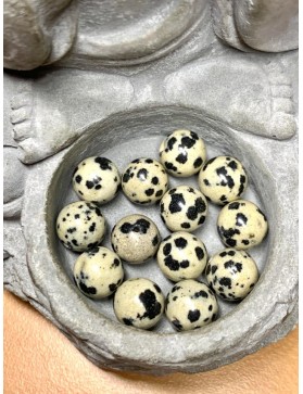 ?? JASPE DALMATIEN Perles à l'unité ou en lot - 10mm
