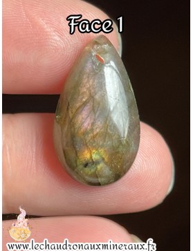 Labradorite cabochon percé...