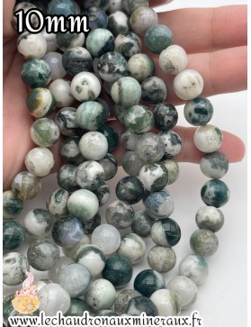 Agate Arbre 10mm unité *