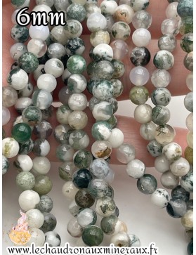 Agate Arbre 6mm *