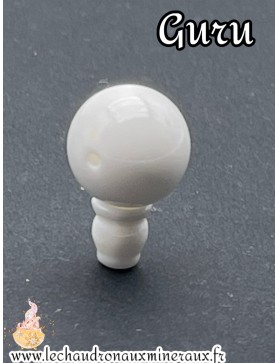 Guru Conque coquillage :)