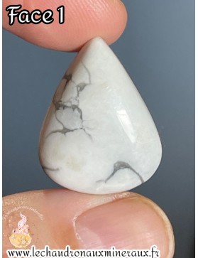 Howlite cabochon non percé...